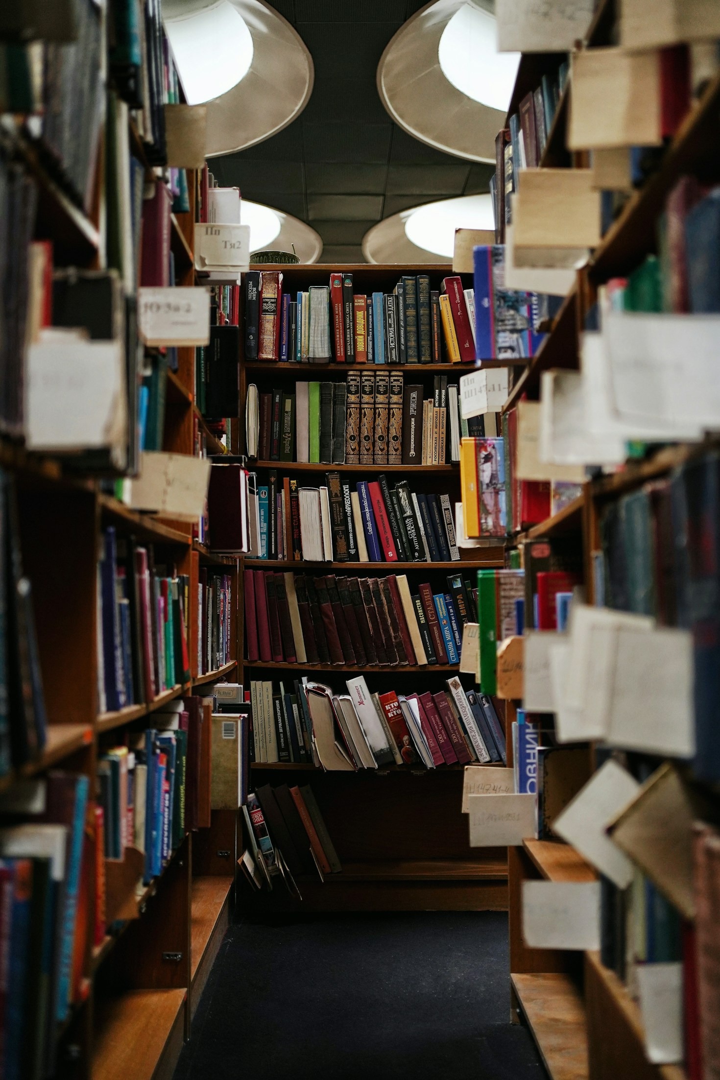 My Favorite Books To Read Lately